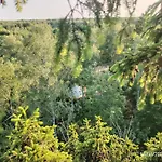 Luxury tent Off-Grid Forest Glamping *