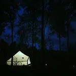 Off-Grid Forest Glamping