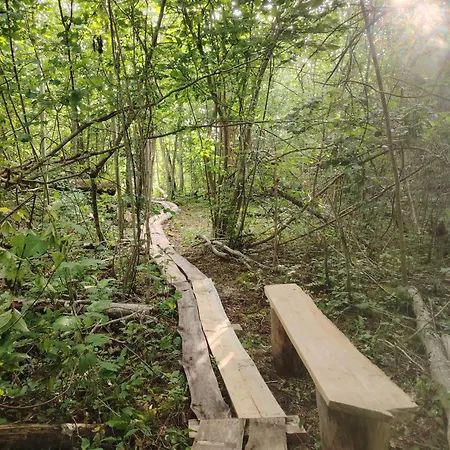 Off-Grid Forest Glamping Luxury tent *