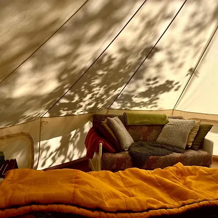 Off-Grid Forest Glamping *