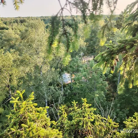 럭셔리텐트 Off-grid Forest Glamping *