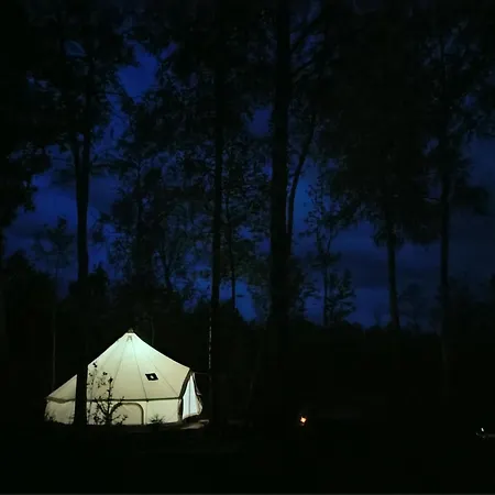 Off-grid Forest Glamping